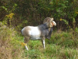 MOUFLON DEBOUT WF 28P