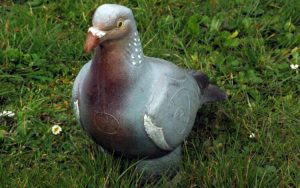 PIGEON WF9P