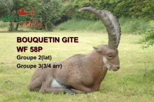 BOUQUETIN GITE WF 58P