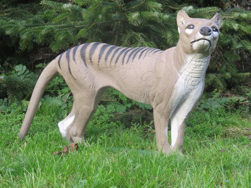 Beutelwolf