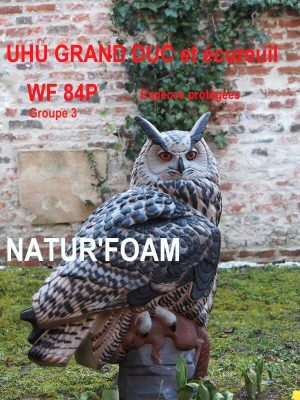 UHU GRAND DUC ET ECUREUIL WF 84P