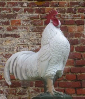 COQ GÂTINAIS WF 55-4P