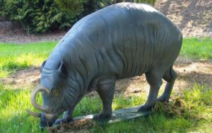 BABIRUSA WF 57P