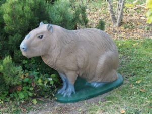 CAPIBARA WF 79P