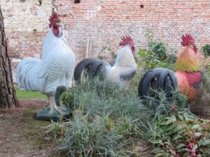COQ GÂTINAIS WF 55-4P