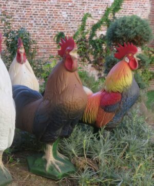 COQ ROUX WF55-2P