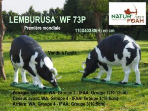 LEMBURUSA WF 73P