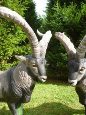 MACHO MONTES DEBOUT WF 53P