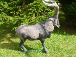 MACHO MONTES DEBOUT WF 53P