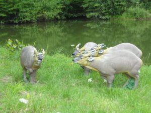 MUNTJAC WF 49P