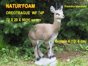 OREOTRAGUE WF 74P