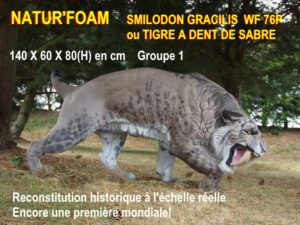 SMILODON GRACILIS WF 76P
