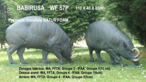 BABIRUSA WF 57P