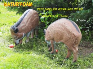 SANGLIER VERMILLANT WF 81P