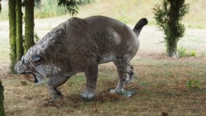 SMILODON GRACILIS WF 76P